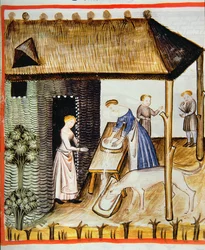 Preparazione di formaggio fresco, dal Tacuinum Sanitatis